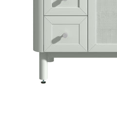 Briza 48 in. Single Sink Bathroom Vanity