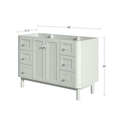 Briza 48 in. Single Sink Bathroom Vanity