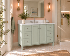 Briza 48 in. Single Sink Bathroom Vanity