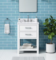 Brooks 24 in. Single Sink Bathroom Vanity