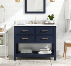 Brooks 42 in. Single Sink Bathroom Vanity