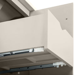 Haley 48 in. Single Sink Bathroom Vanity with Wall-Mount Option