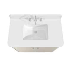 Haley 36 in. Single Sink Bathroom Vanity with Wall-Mount Option
