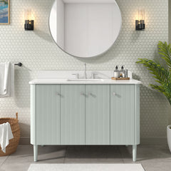 Haley 48 in. Single Sink Bathroom Vanity with Dual Mount Option