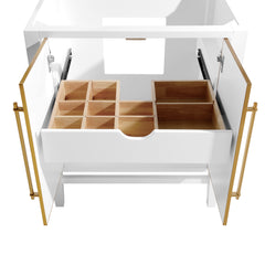 Mason 24 in. Single Sink Bathroom Vanity