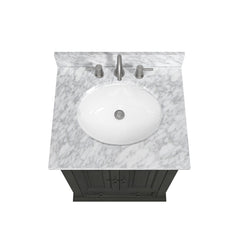 Thompson 24 in. Single Sink Bathroom Vanity with Oval Sink