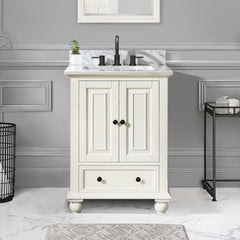 Thompson 24 in. Single Sink Bathroom Vanity