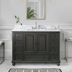 Thompson 48 in. Single Sink Bathroom Vanity