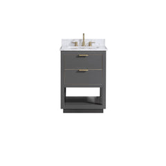 Allie 24 in. Single Sink Bathroom Vanity