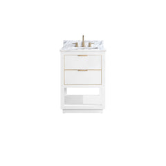 Allie 24 in. Single Sink Bathroom Vanity